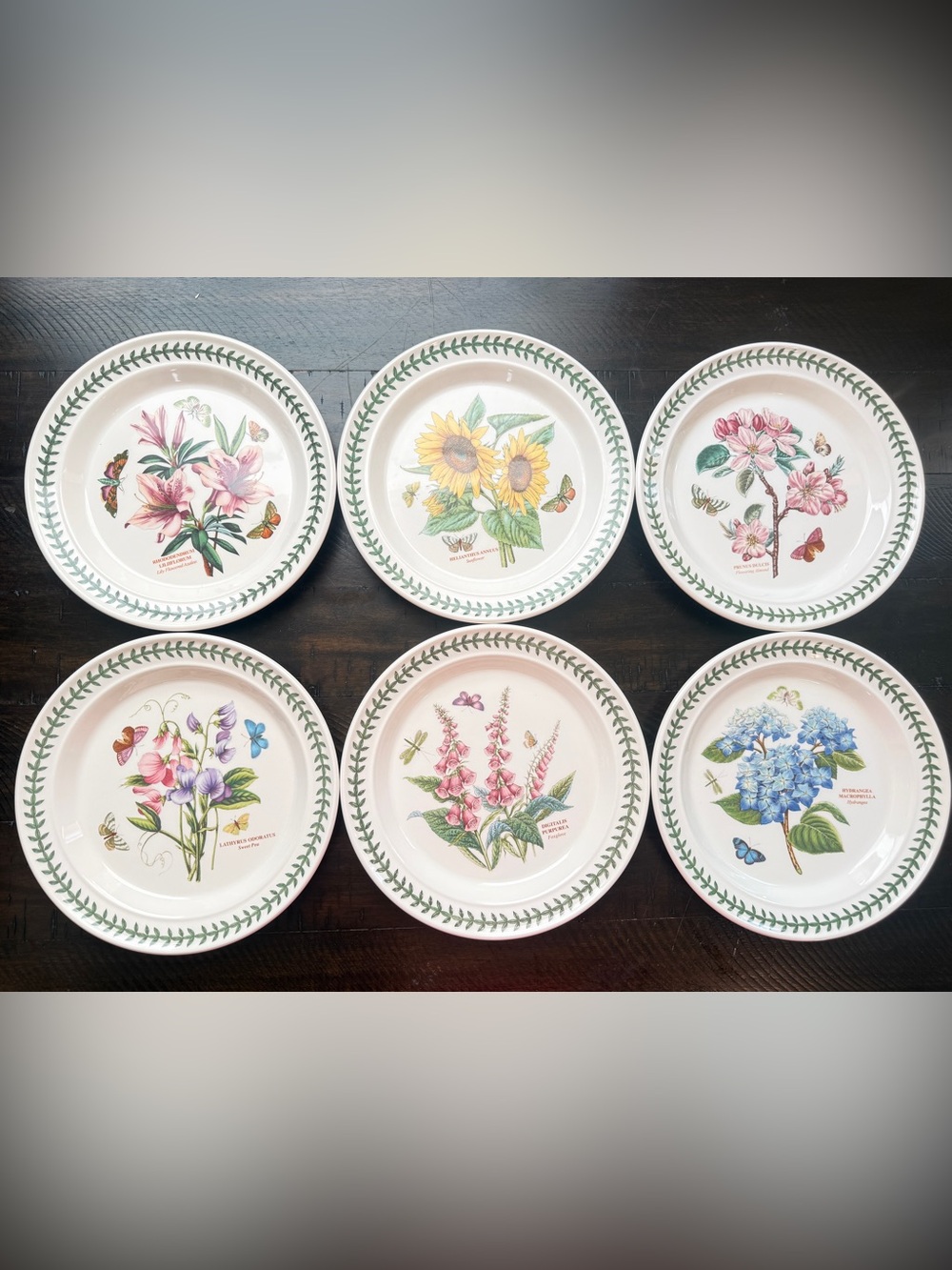 NWT Portmeirion Botanic Garden 10” Floral Ceramic Dinner Plates Set of 6 England